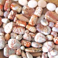 Large Bead Lot for Jewelry Making / Beading - Orange Fire Agate - Red Line Marble - Peach Agate Beads